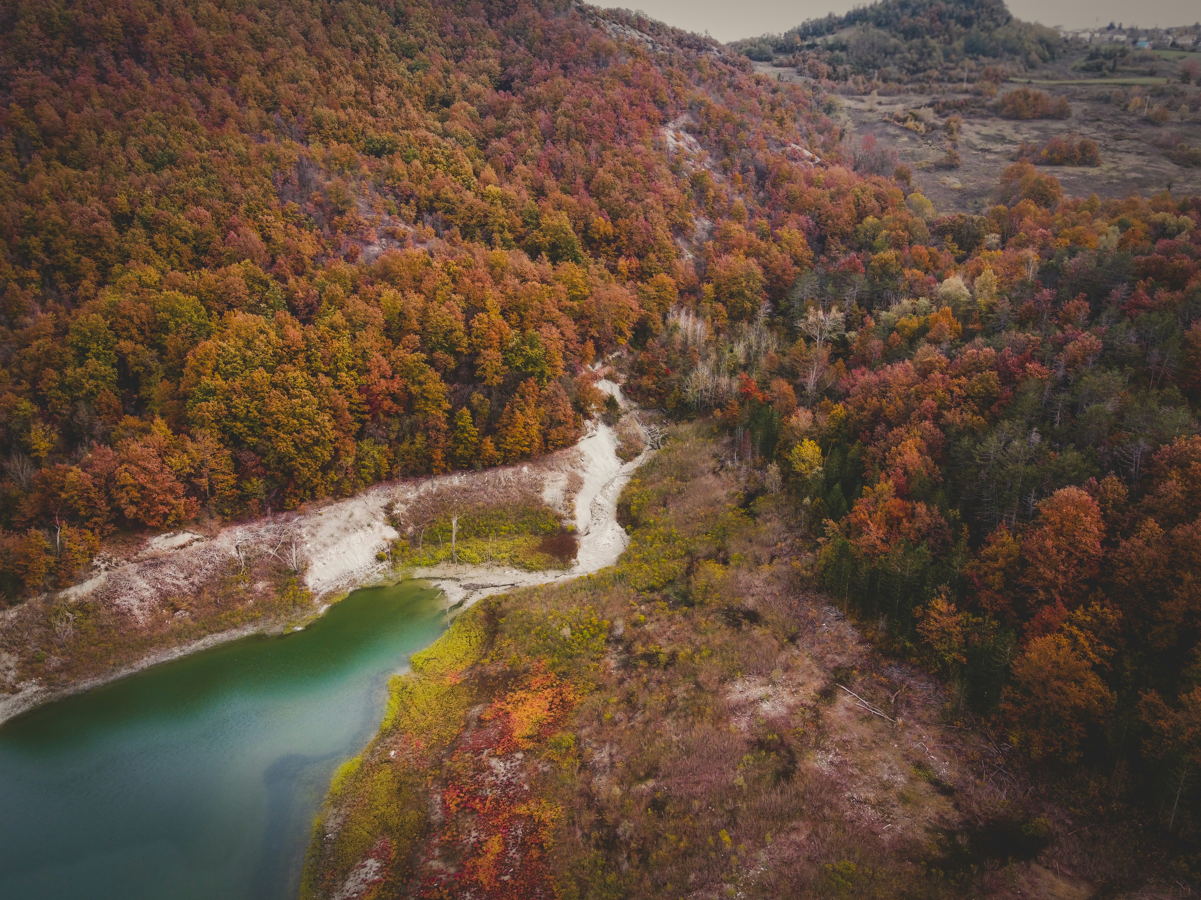 river in the middle of forest during daytime