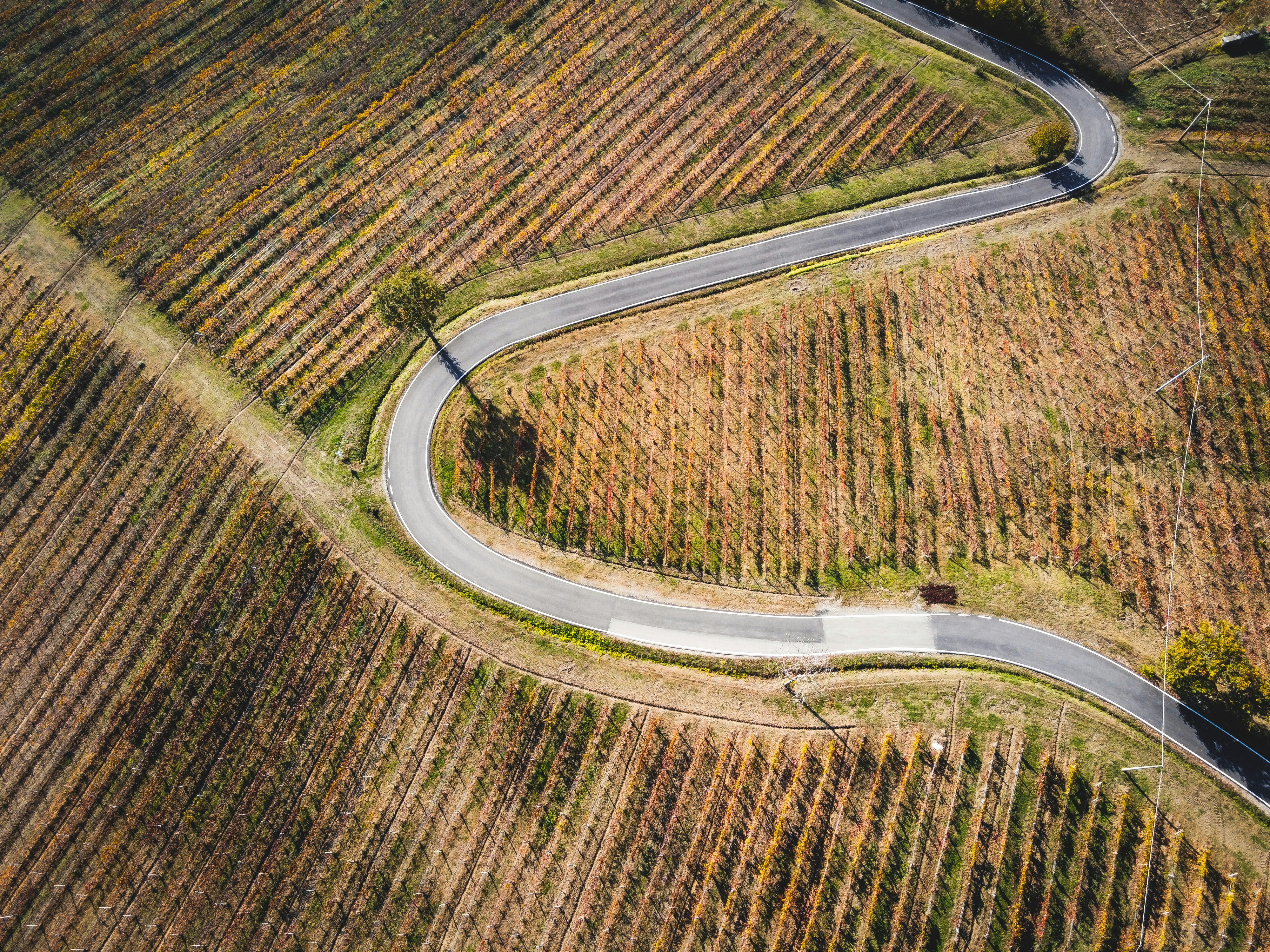 Top-Rated Securities Litigation Lawyer at Oberheiden PC