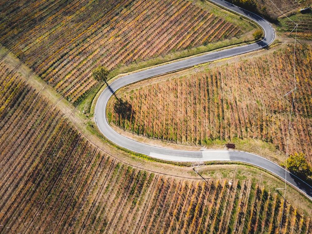 Vista aérea de la carretera en medio del campo de hierba verde