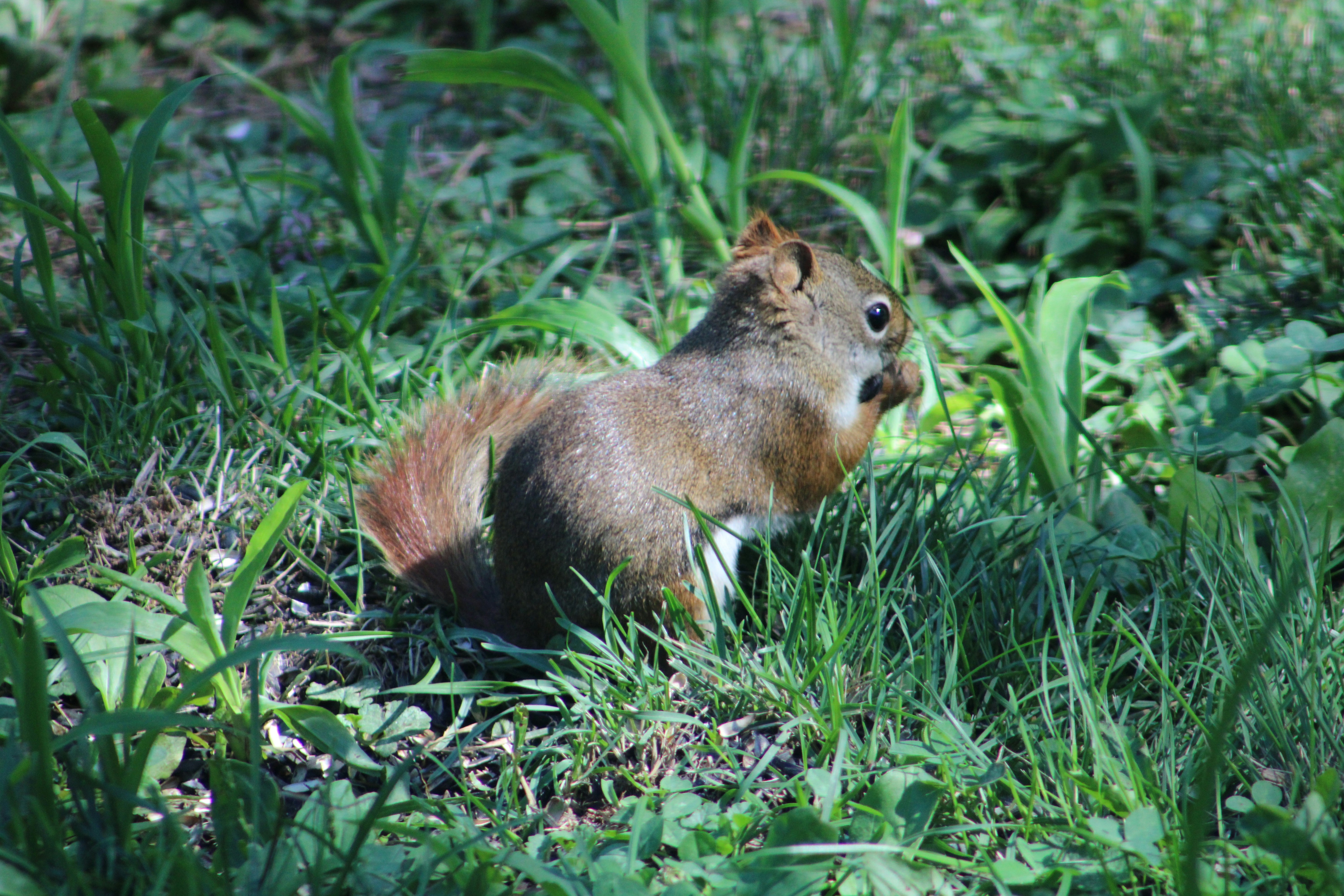 Photo by ethancurrier