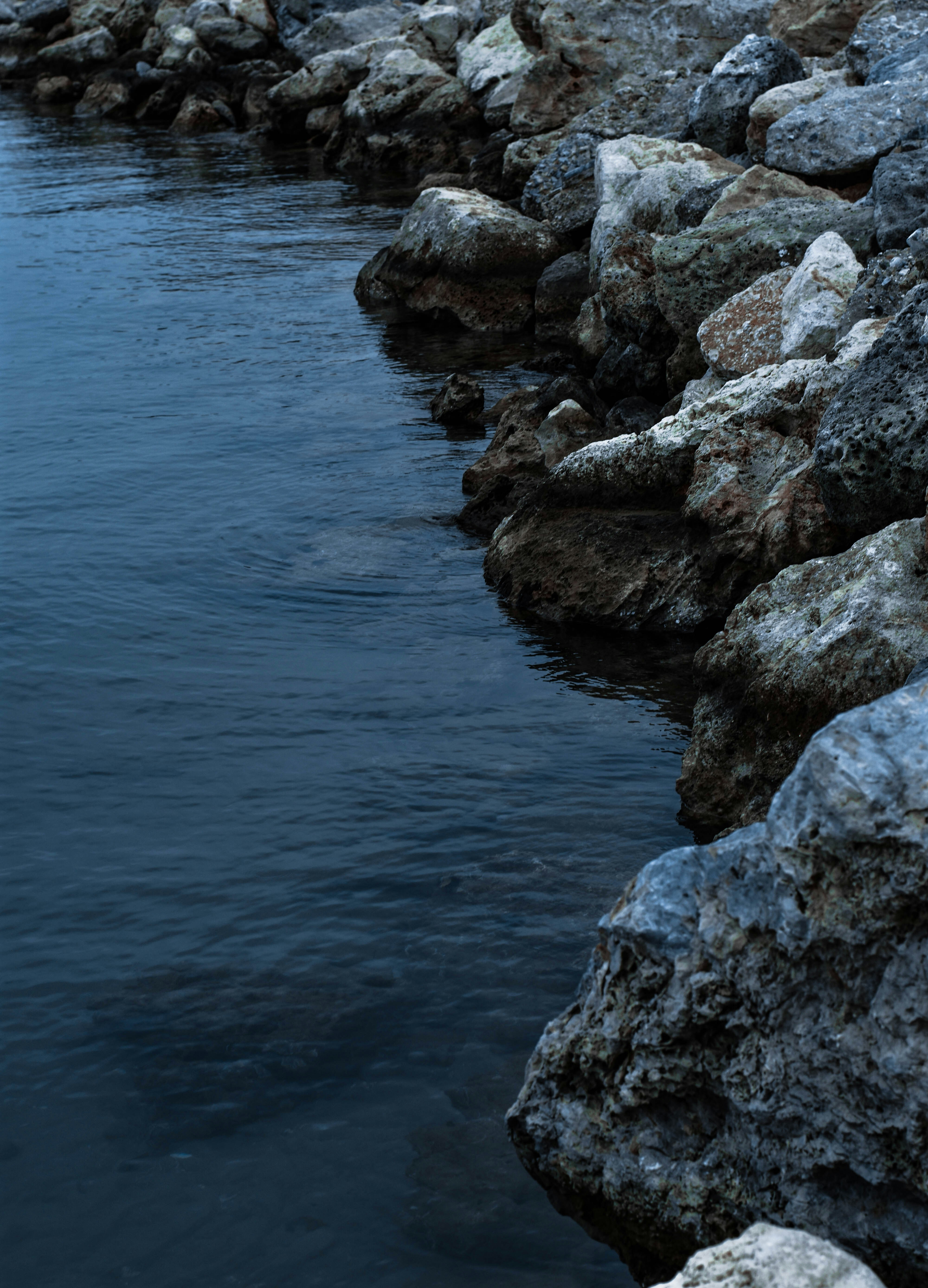 gray rocky shore during daytime