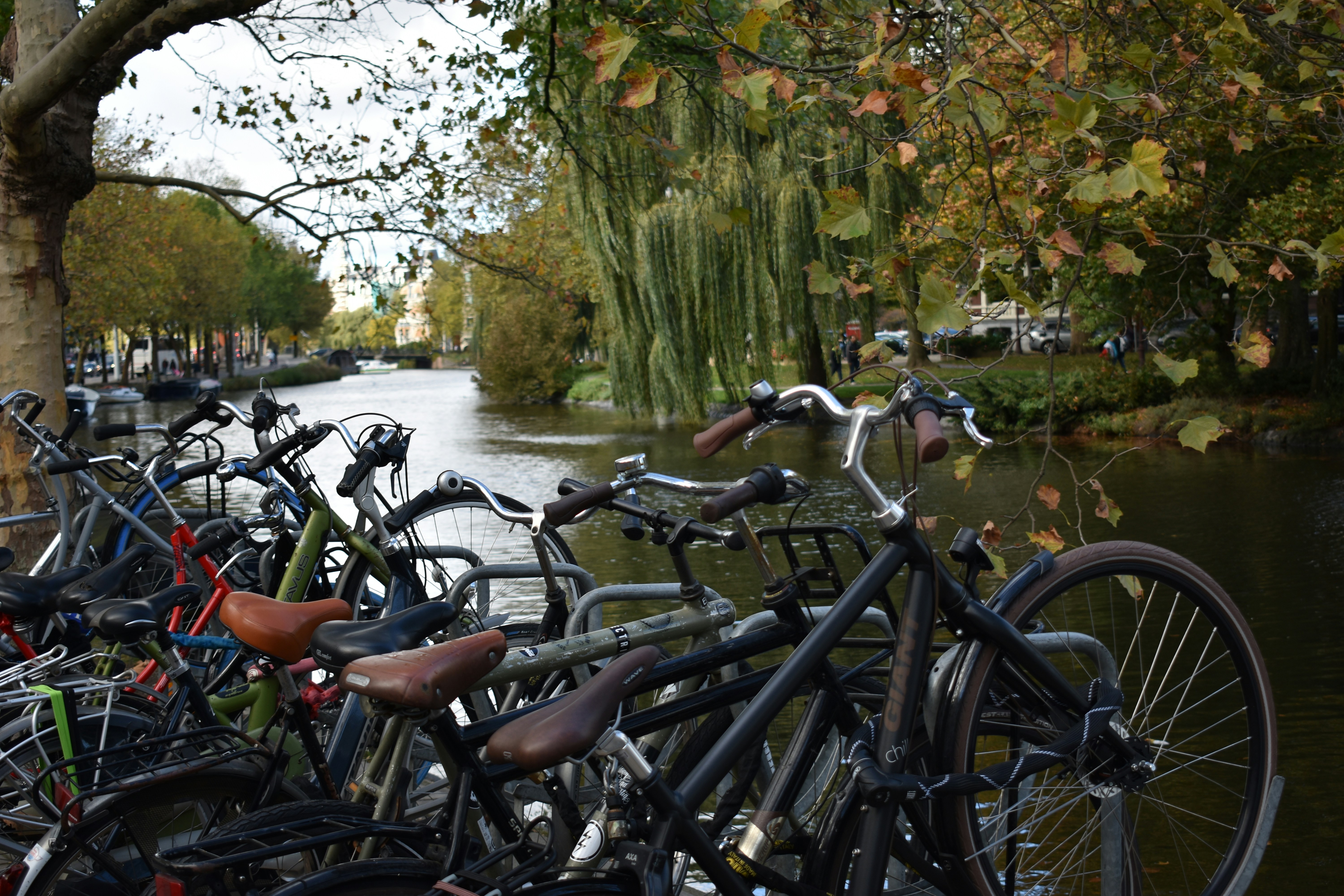 black bicycle parked beside river