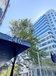 A modern cityscape featuring a tall glass building with reflective blue windows against a clear sky. A green leafy tree is visible in the foreground, along with a canopy showing the address '240 Bunda St'. The architecture is sleek and contemporary, with clean lines and a polished appearance.