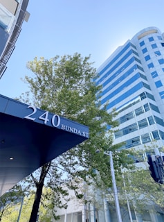A modern cityscape featuring a tall glass building with reflective blue windows against a clear sky. A green leafy tree is visible in the foreground, along with a canopy showing the address '240 Bunda St'. The architecture is sleek and contemporary, with clean lines and a polished appearance.