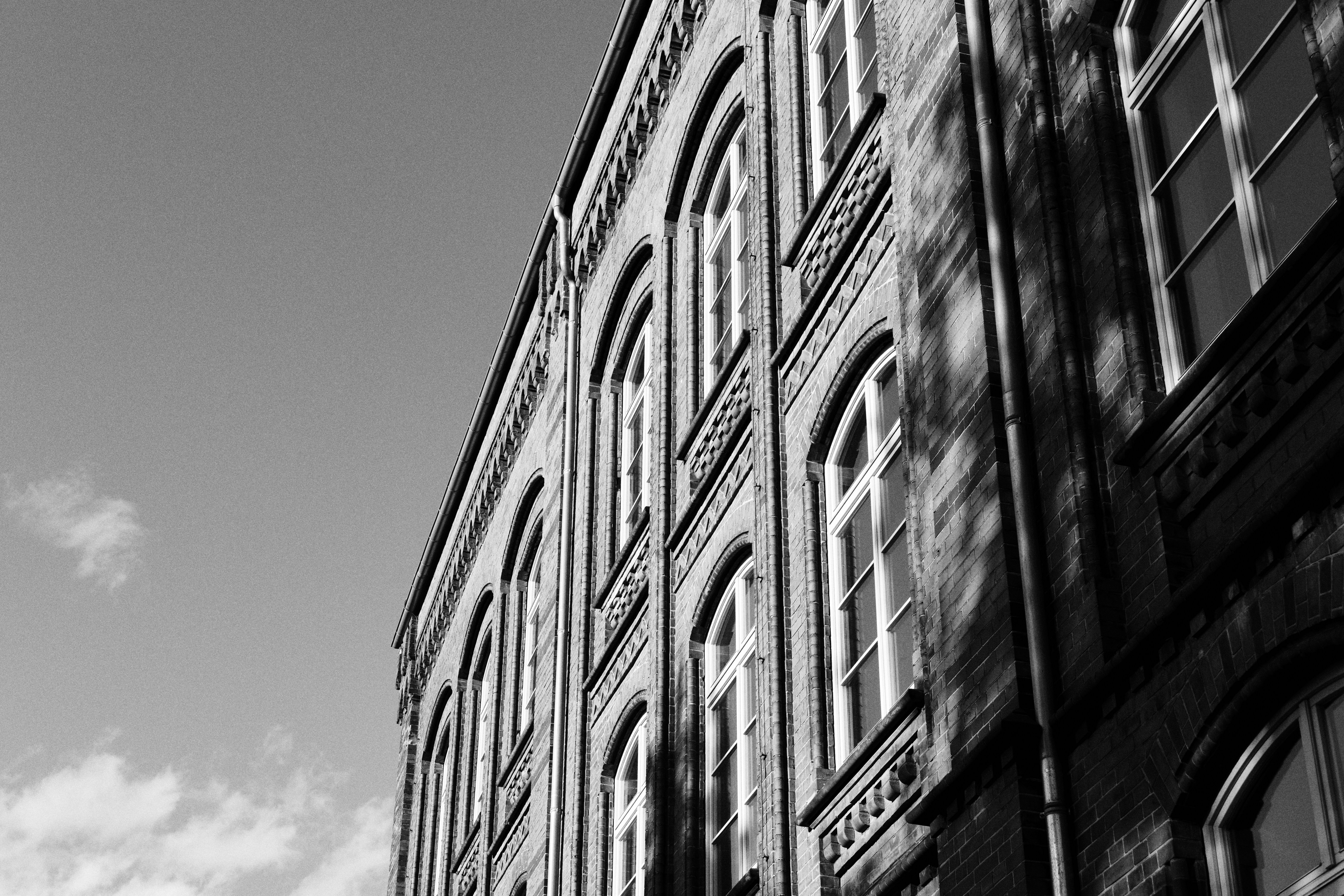 Photo by steinbrueckri