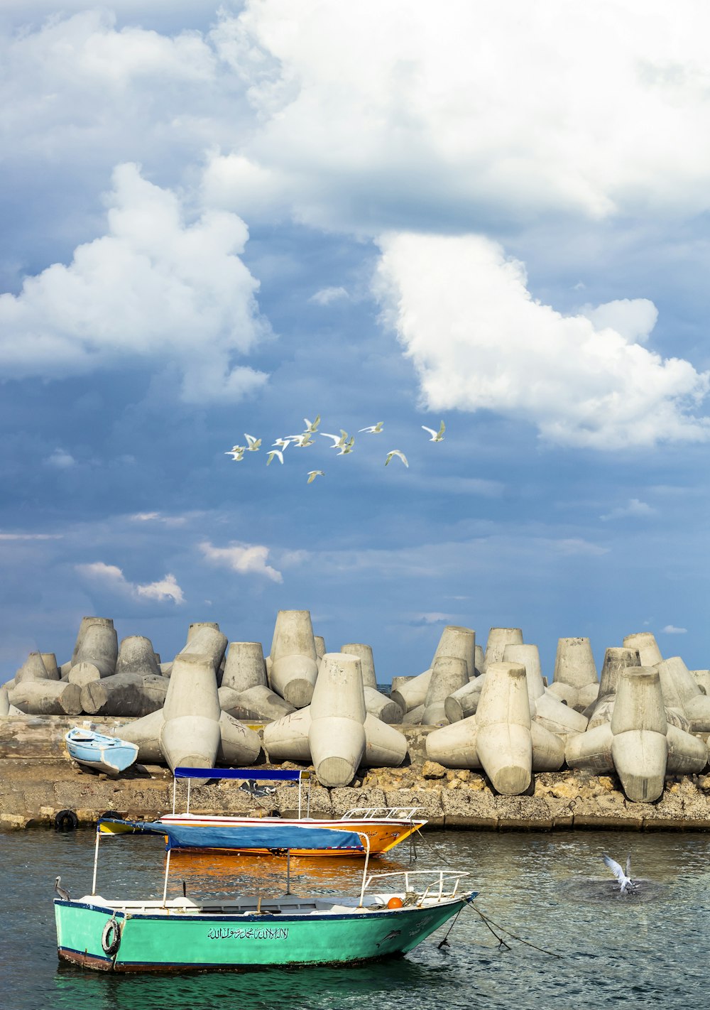 white and gray birds flying under white clouds and blue sky during daytime