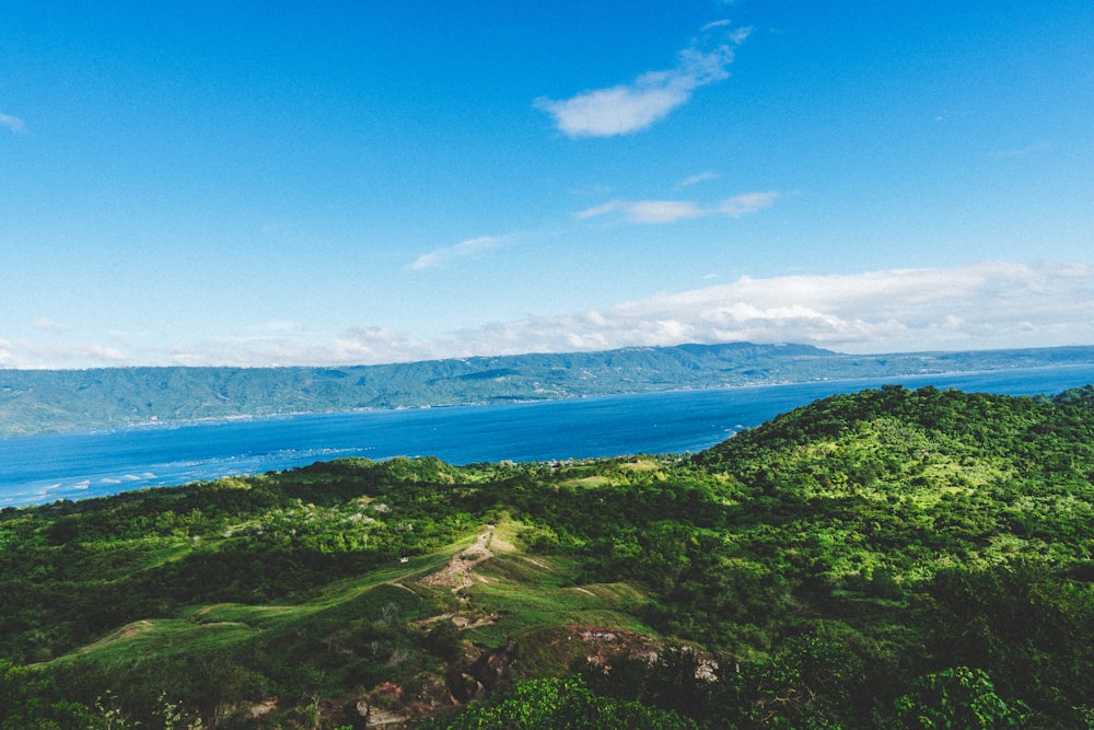 green grass field near blue sea under blue sky during daytime