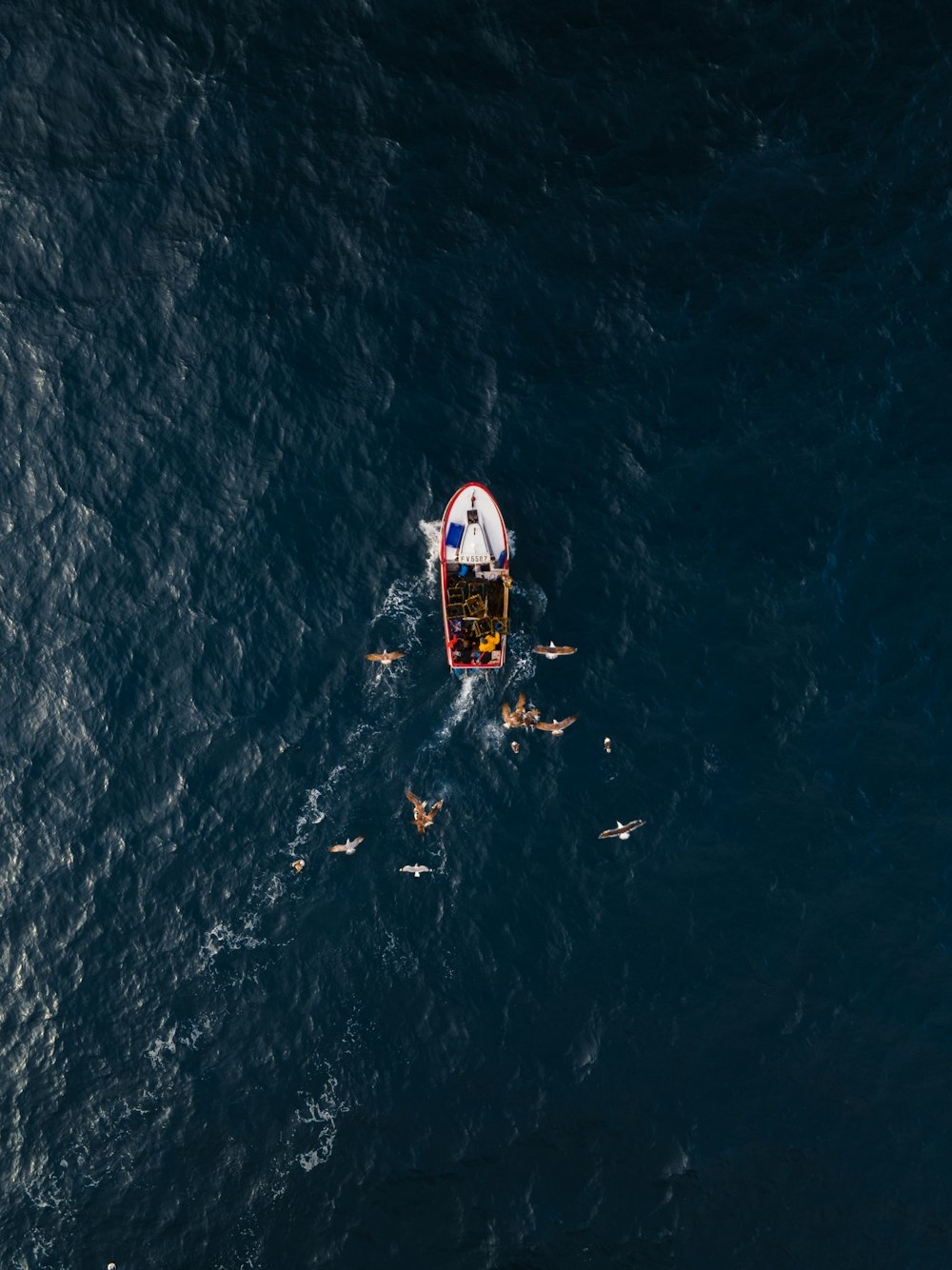 Persona in bianco e rosso che fa surf sul mare durante il giorno