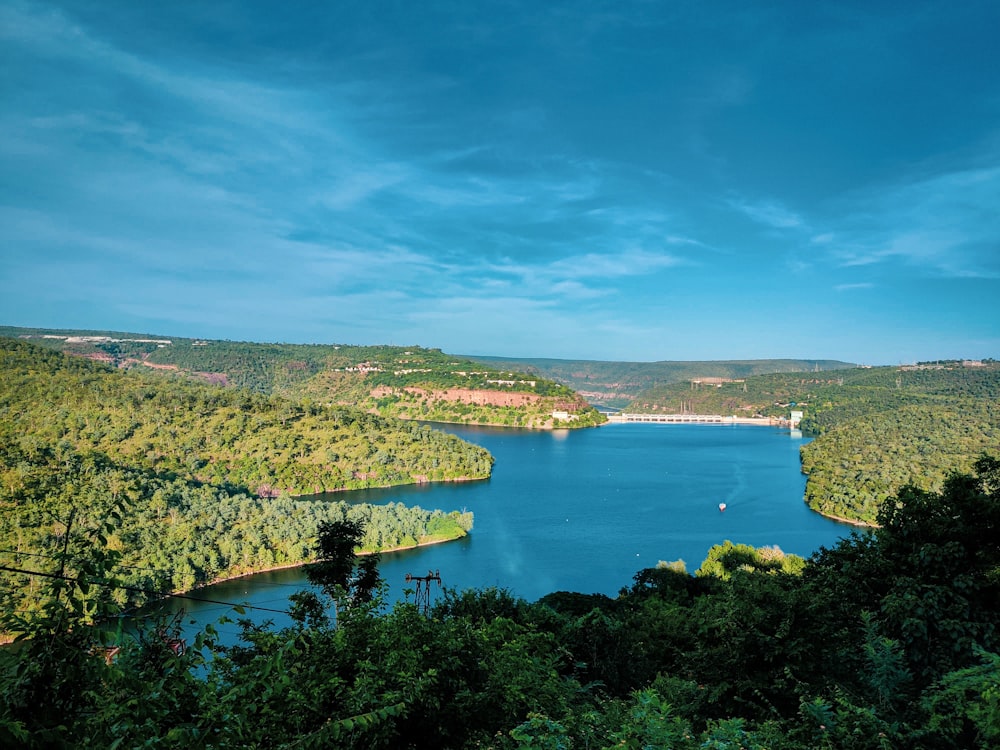 green trees near body of water under blue sky during daytime