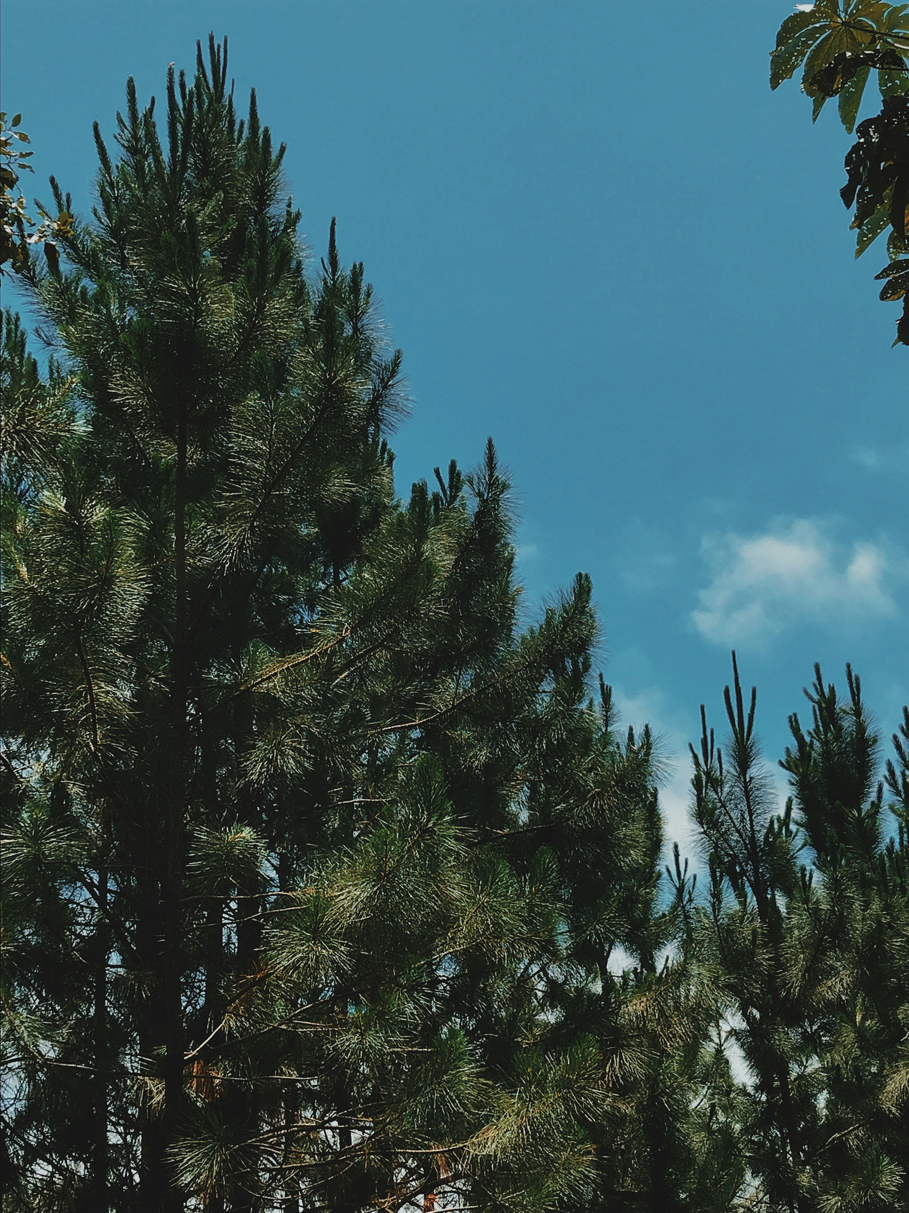 Photo by jamorimantunes