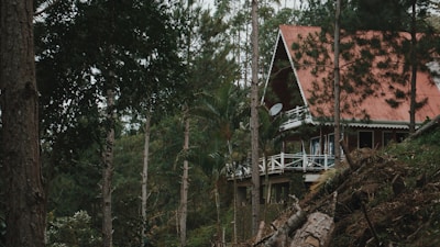 A wooden house with a steep red roof is nestled in a forested area. Tall trees with slender trunks surround the house, and there is a raised platform or deck with white railings. The setting is dense with greenery and natural foliage.