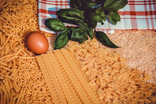 A variety of uncooked pasta types spread out on a surface alongside a brown egg and fresh basil leaves. The different pasta shapes include spirals, macaroni, lasagna sheets, and farfalle, arranged in sections. A red and white checkered cloth is partially visible in the background.