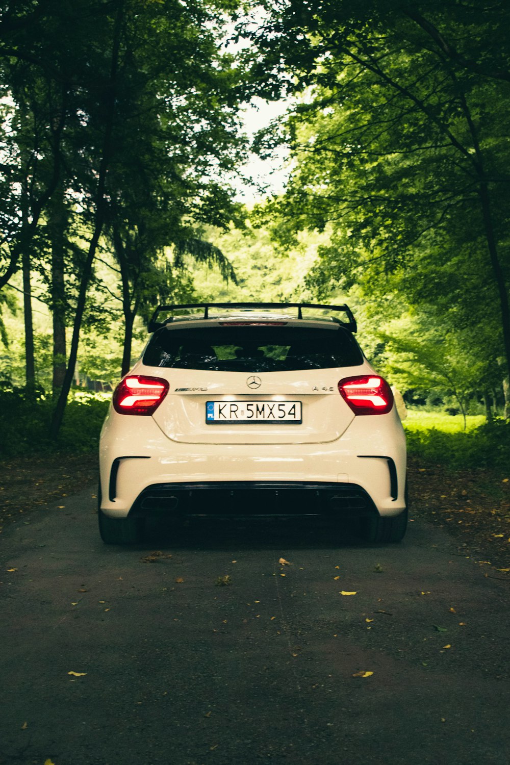 white bmw m 3 on road surrounded by trees during daytime