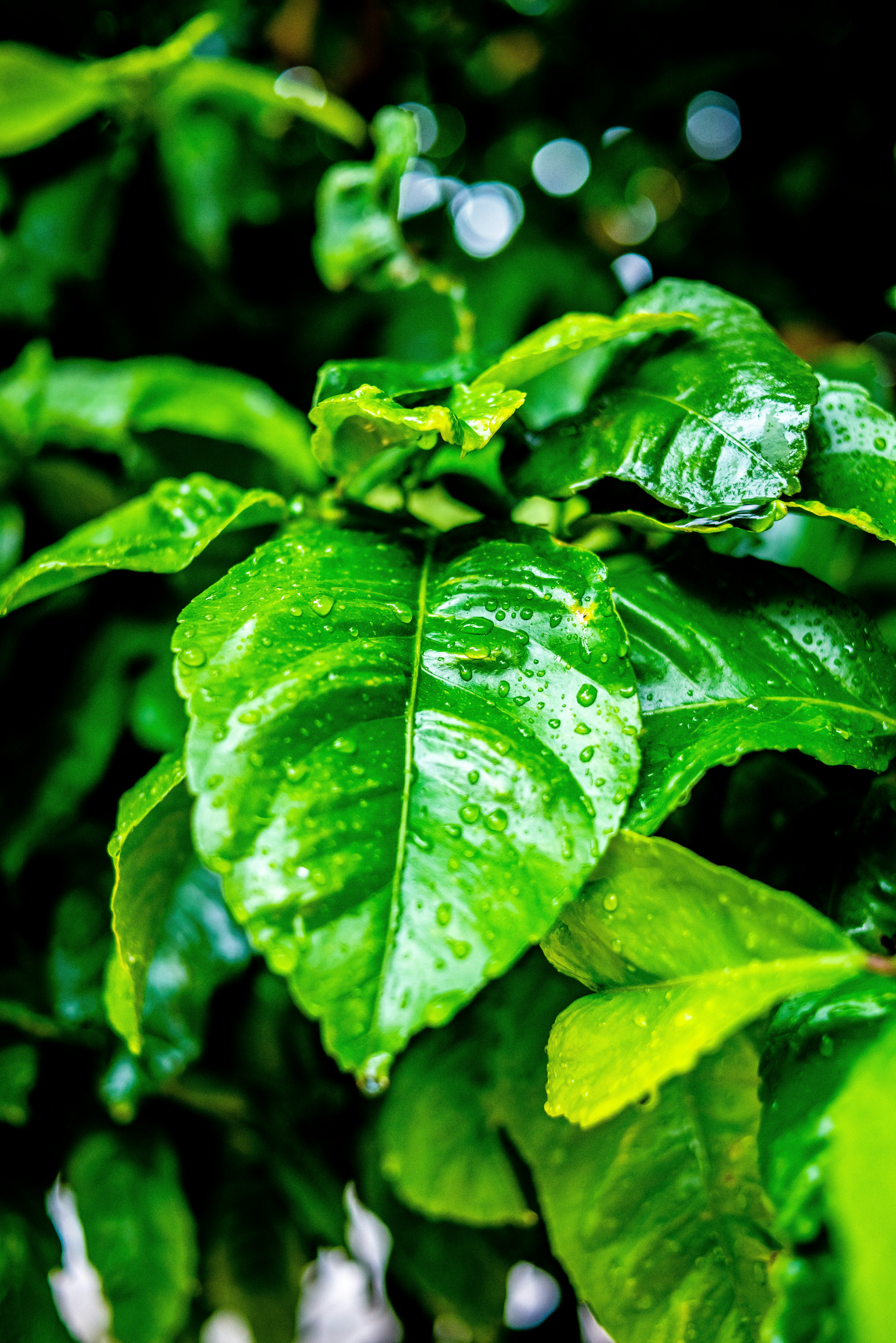 Photo by agustinfernandez