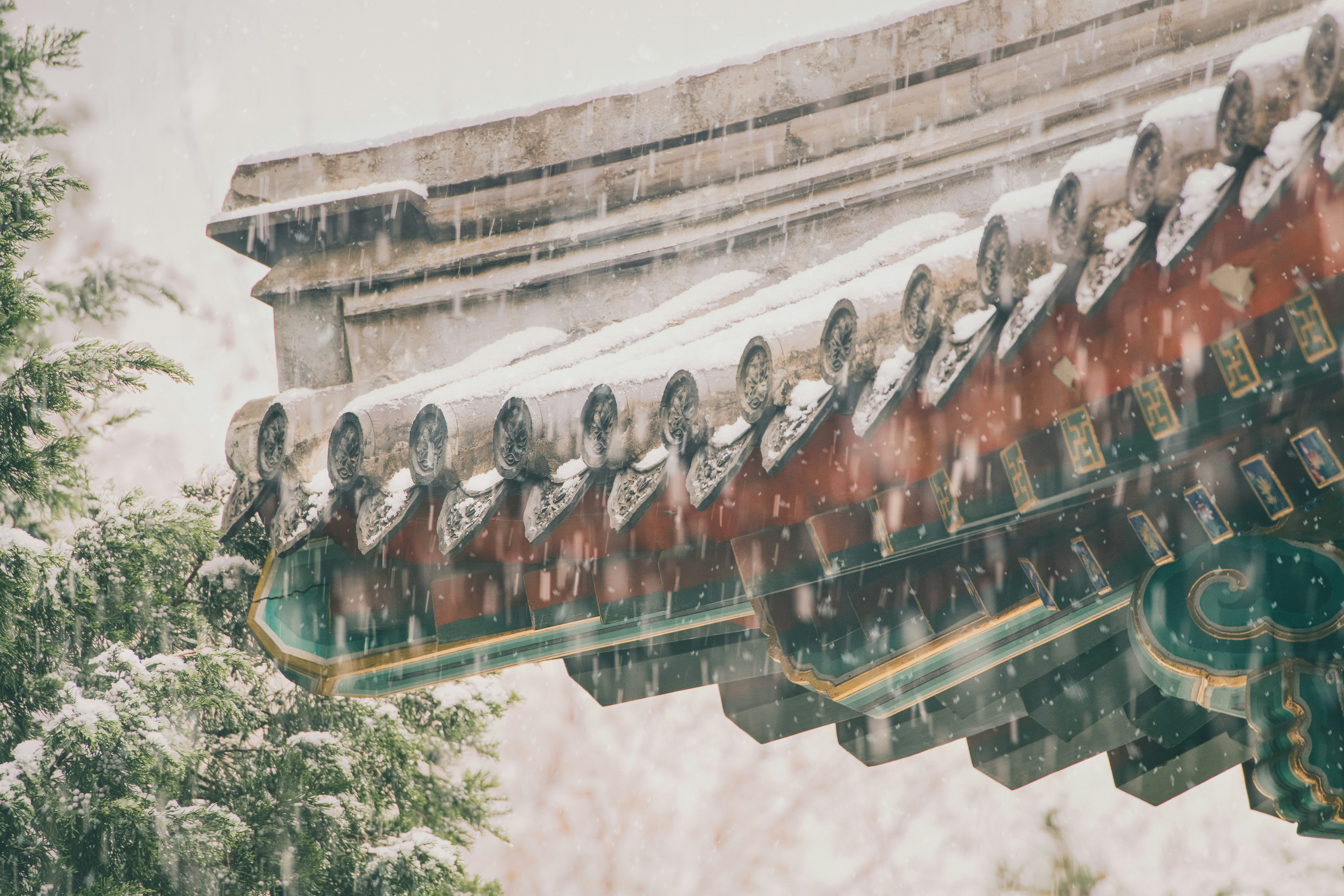 Photo by zhangkaiyv