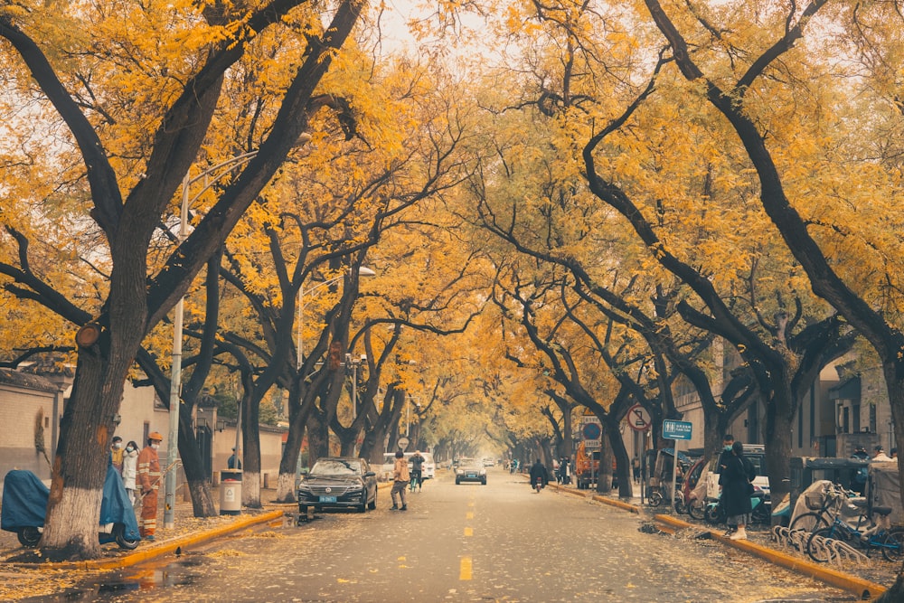 people walking on sidewalk near trees during daytime