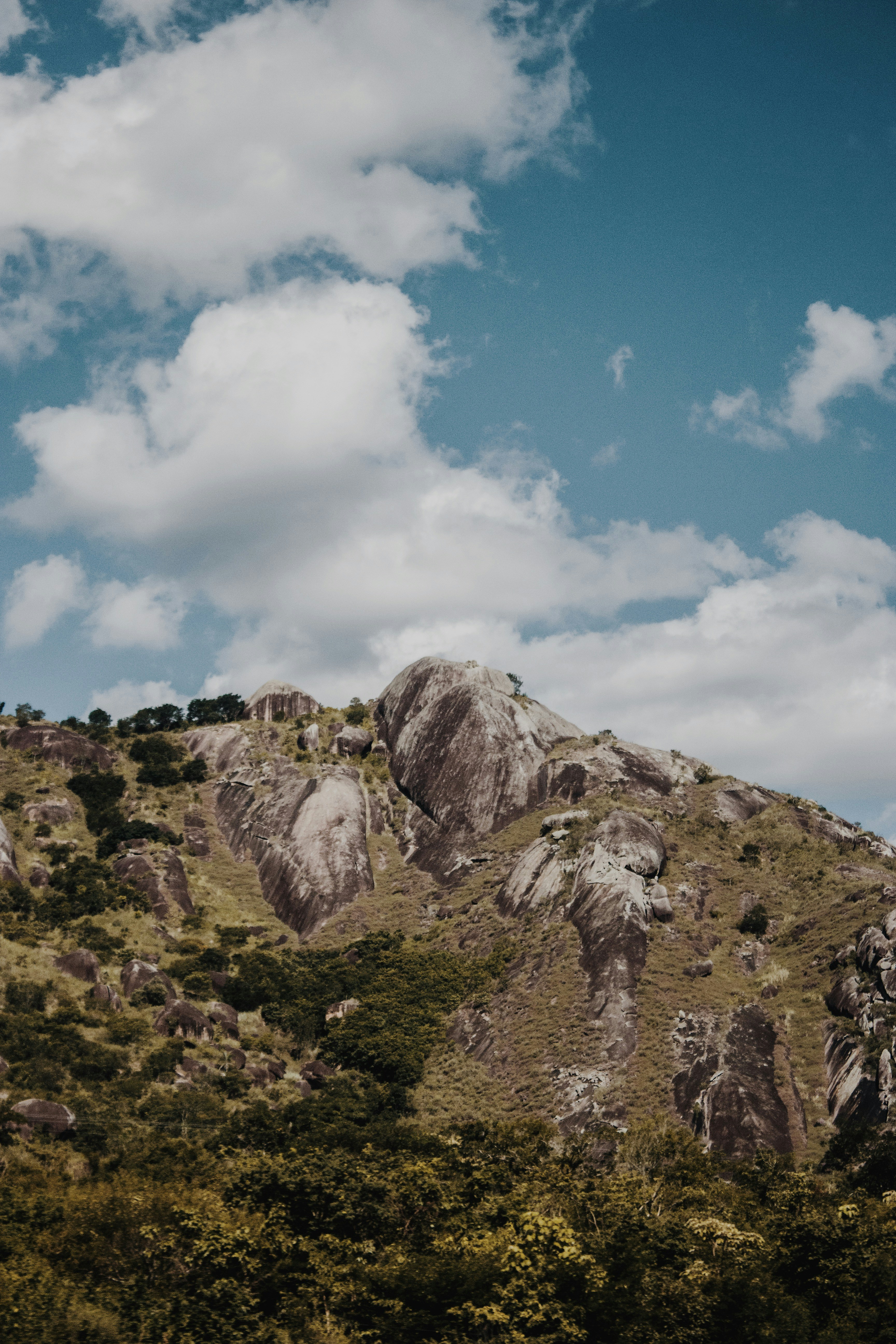 Photo by jamorimantunes