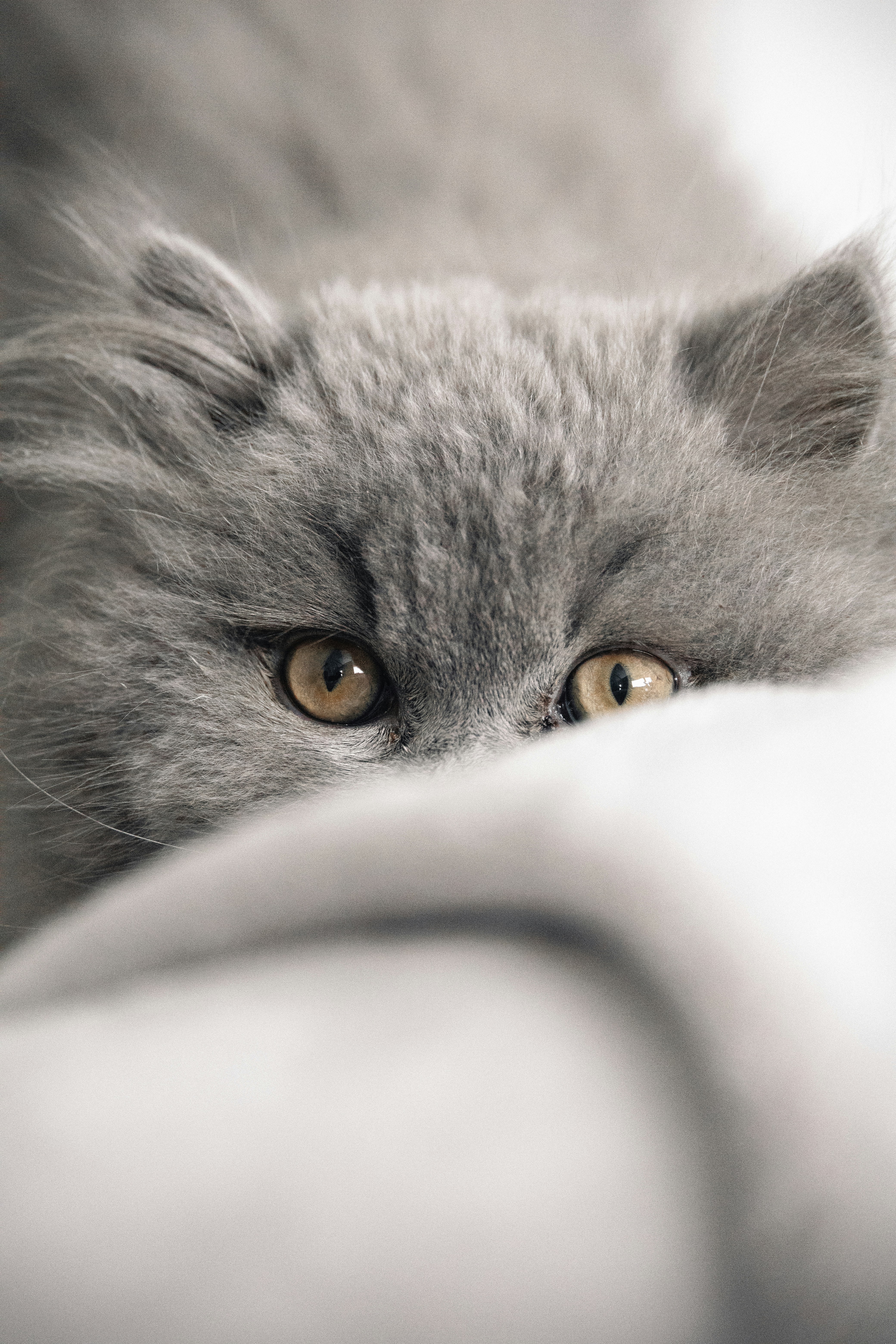 Photo by quentinrogeret