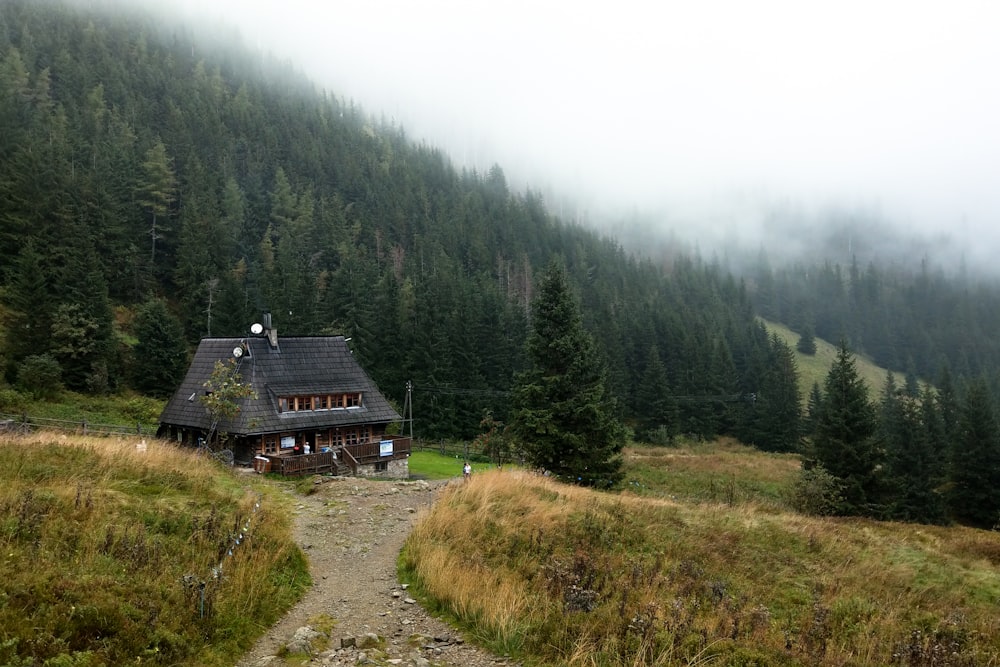 brown wooden house on green grass field near green trees during daytime