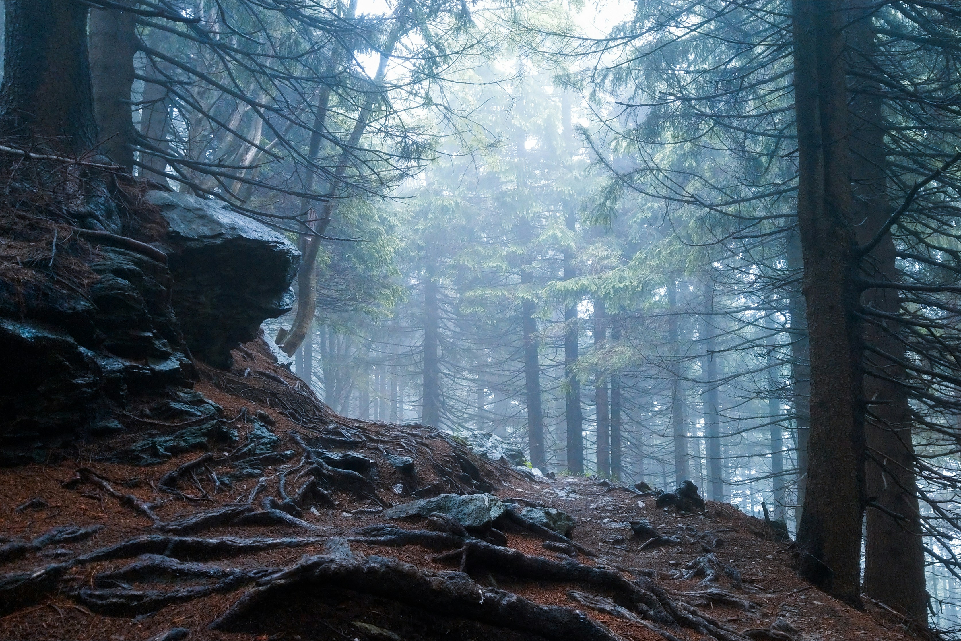 Photo by borutzki