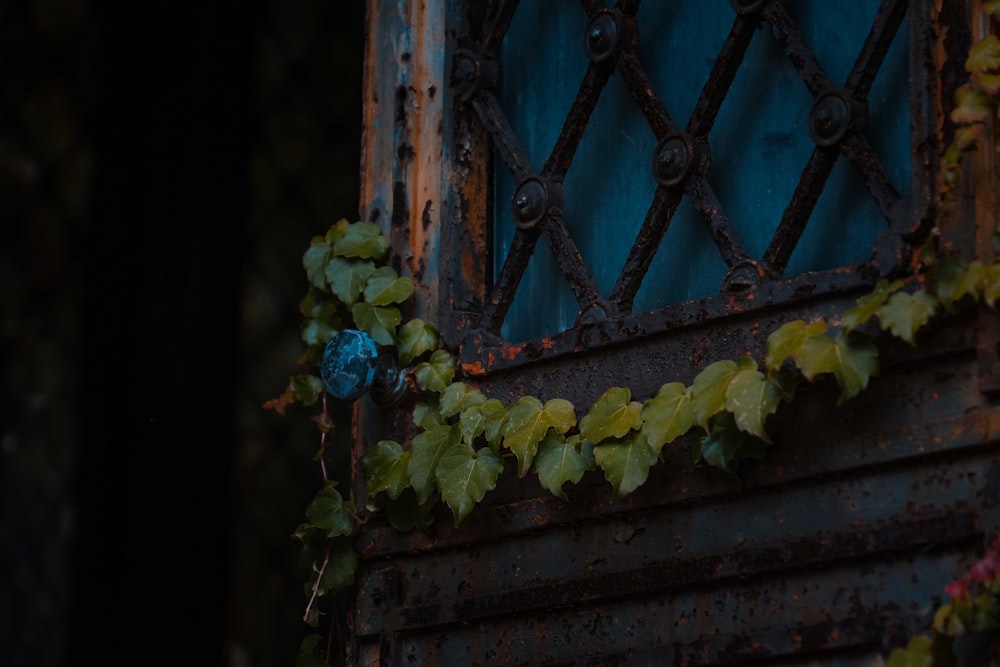 blue flowers on brown wooden window