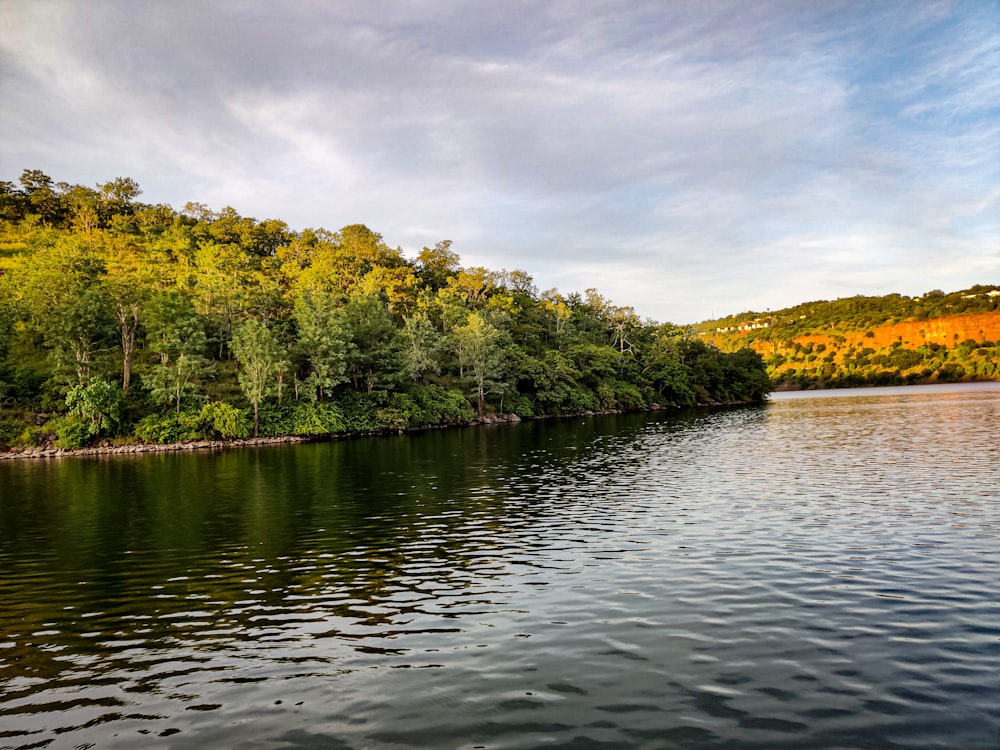 green trees beside river under cloudy sky during daytime