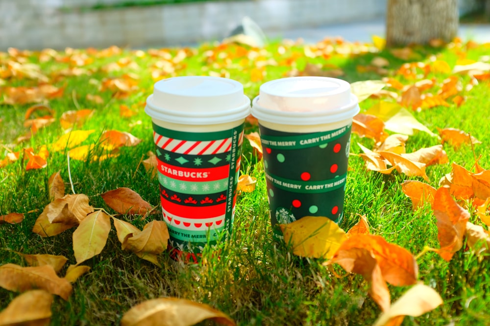 red and white plastic cup on green grass