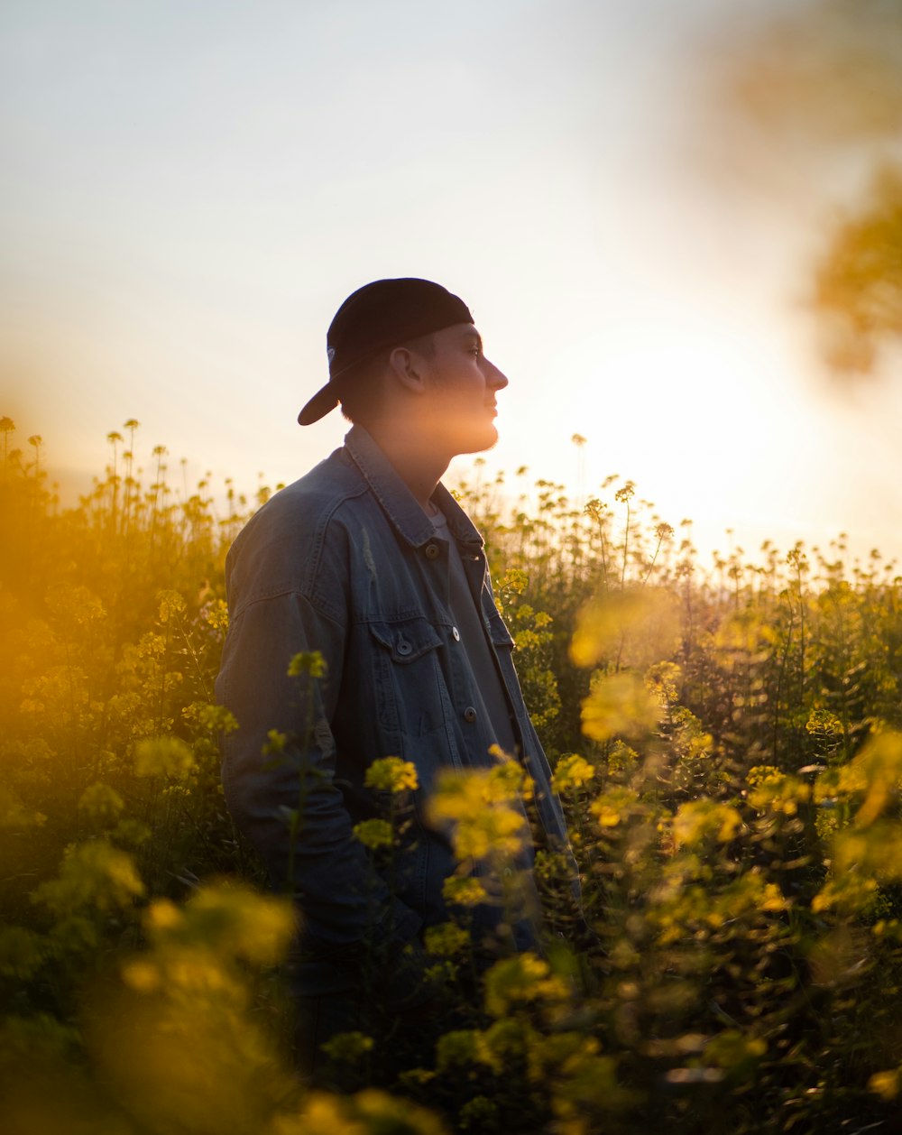 uomo in cappello nero in piedi sul campo di fiori gialli durante il giorno