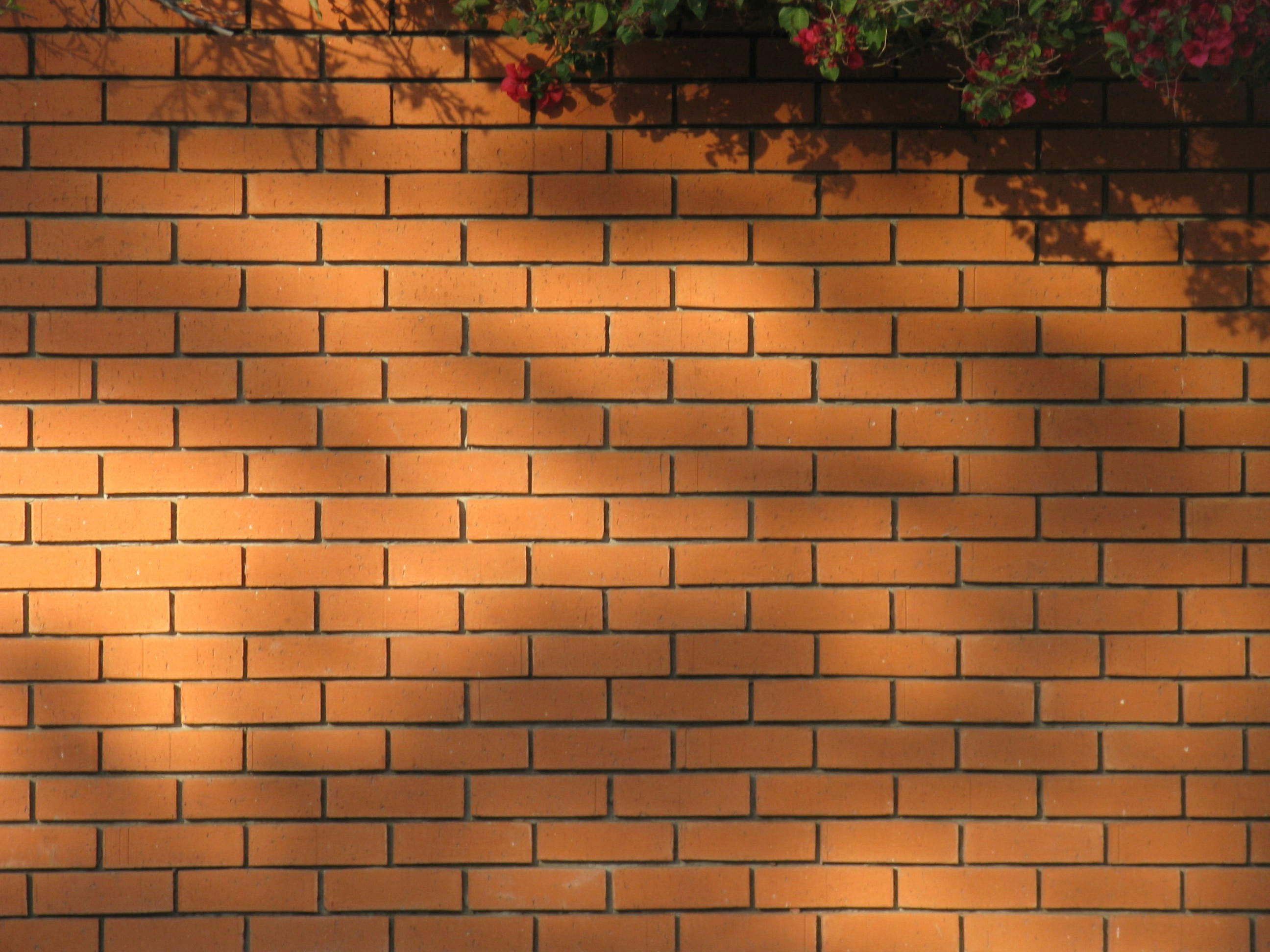 Photo by melaniestrella7