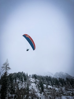 person in red parachute over green trees during daytime