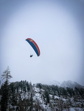 person in red parachute over green trees during daytime