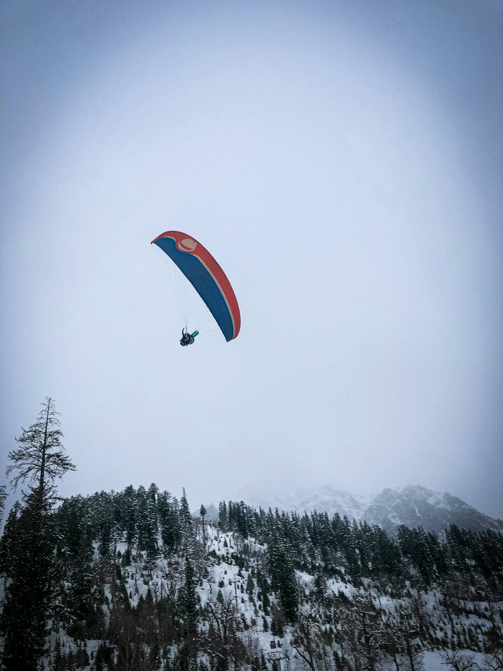 person in red parachute over green trees during daytime