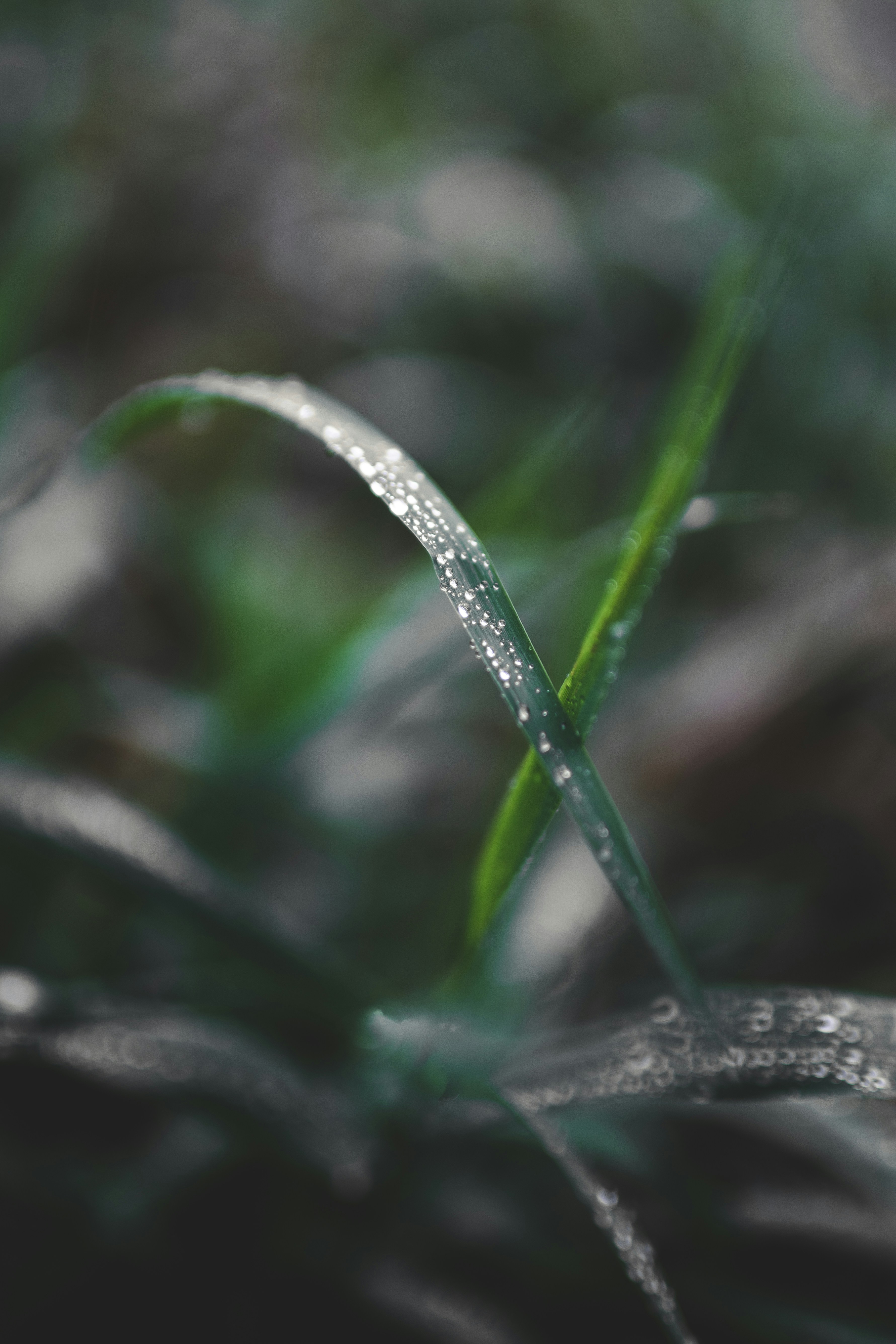 Photo by gregory_rak