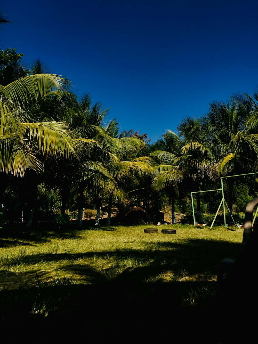 green palm trees under blue sky during daytime