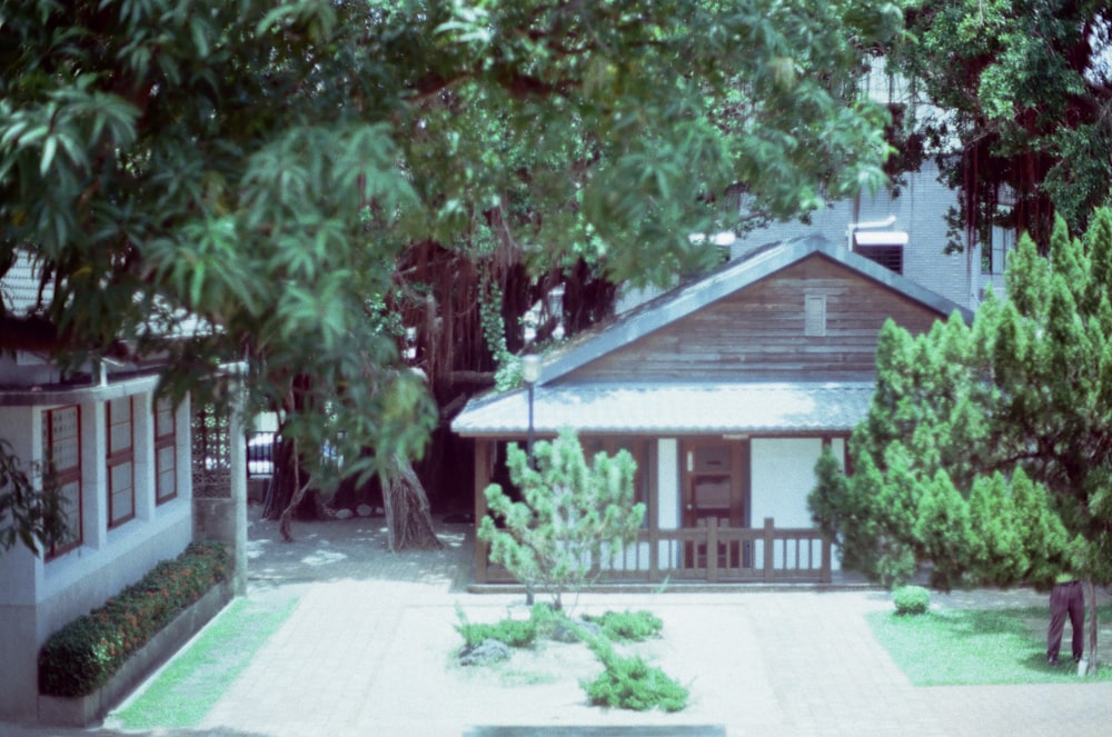 green tree near white wooden house during daytime