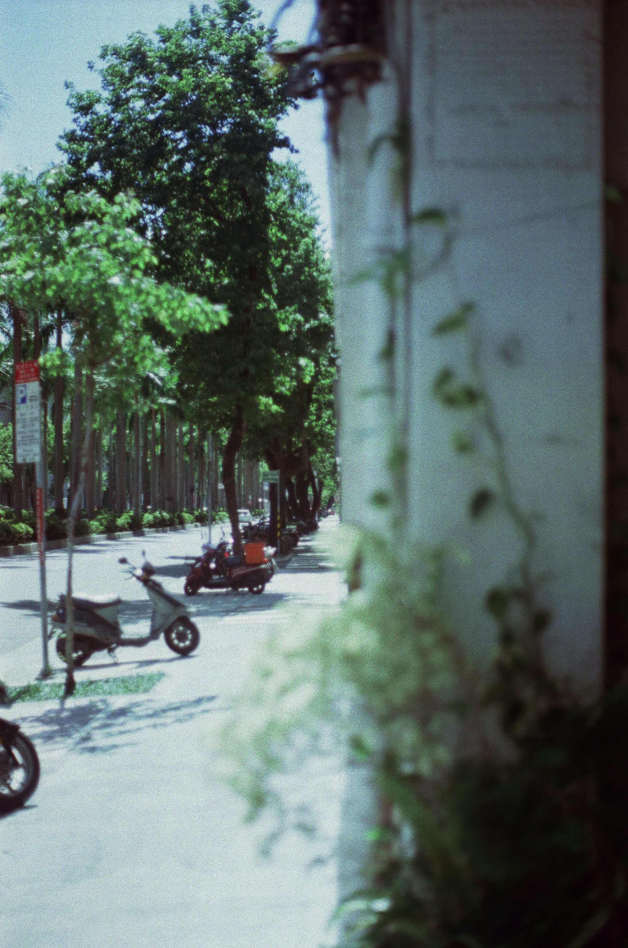 Photo by hanzlog