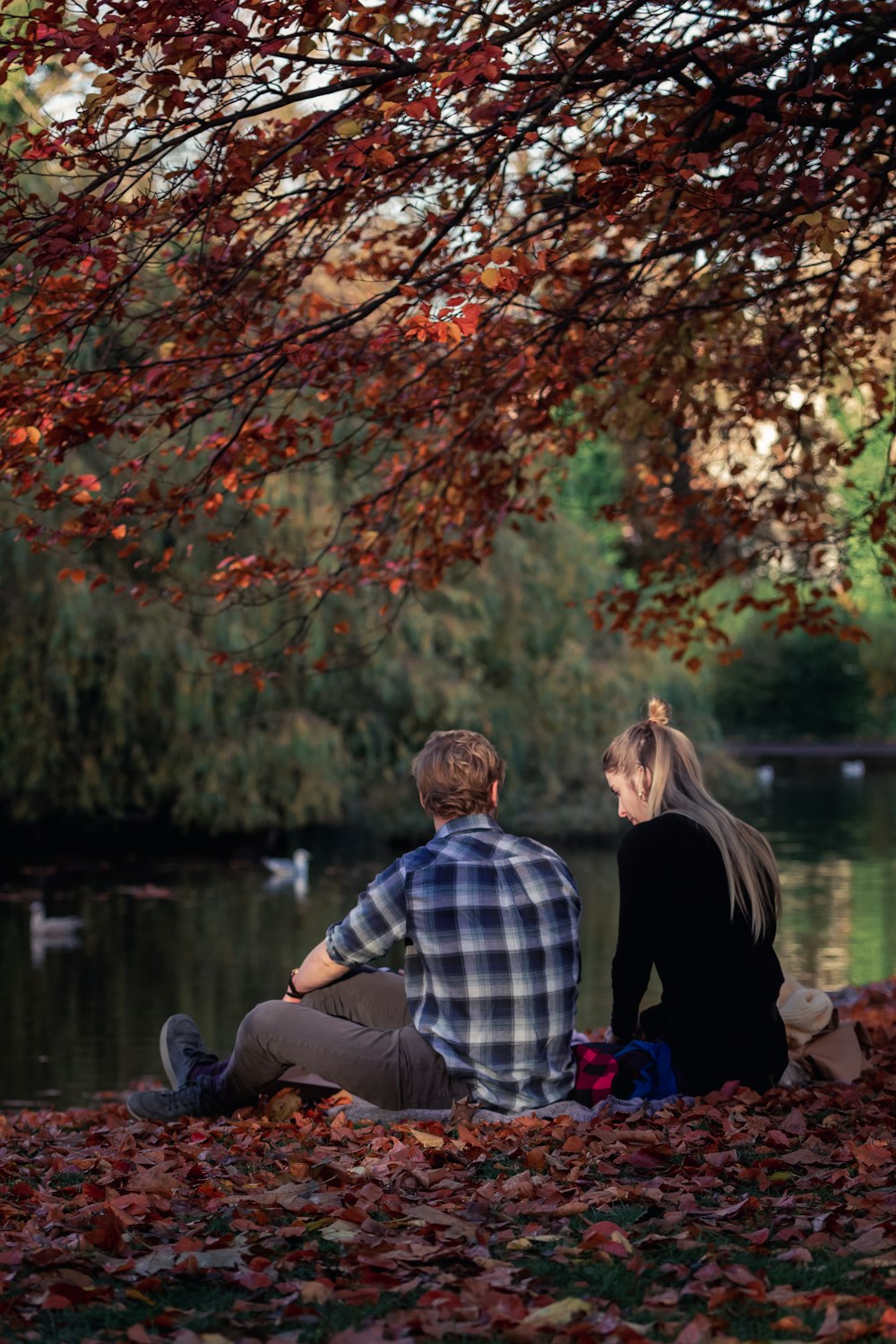 man and woman sitting on brown wooden bench near brown leaf tree during daytime