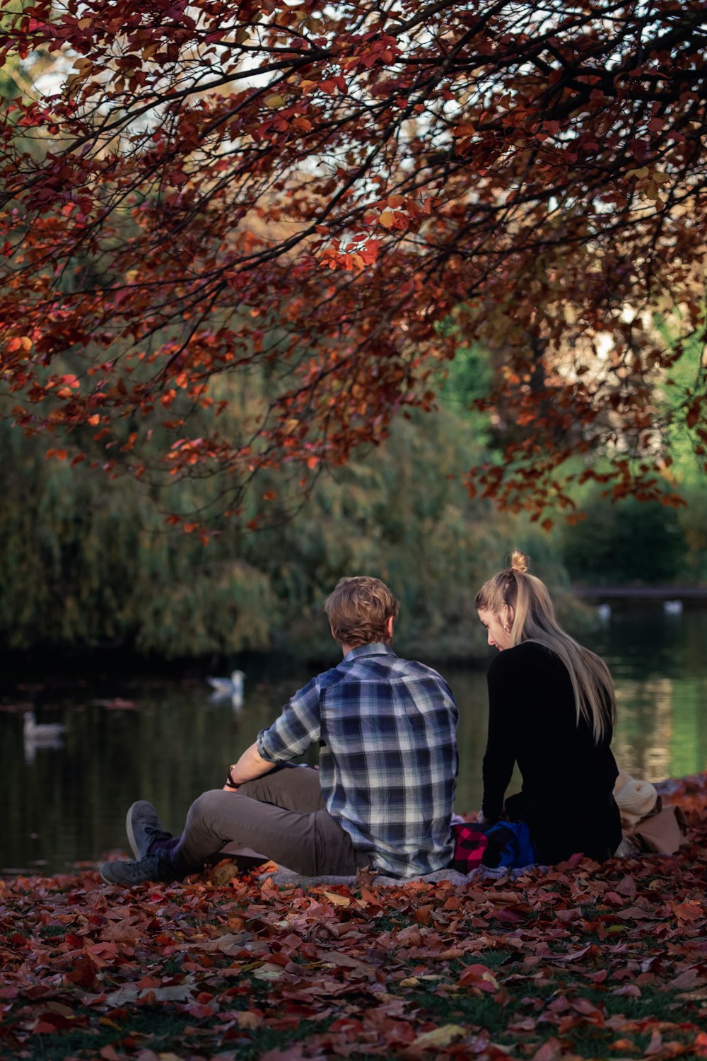Mann und Frau sitzen tagsüber auf einer braunen Holzbank in der Nähe eines braunen Blattbaums