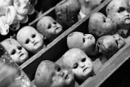 grayscale photo of white skull decors