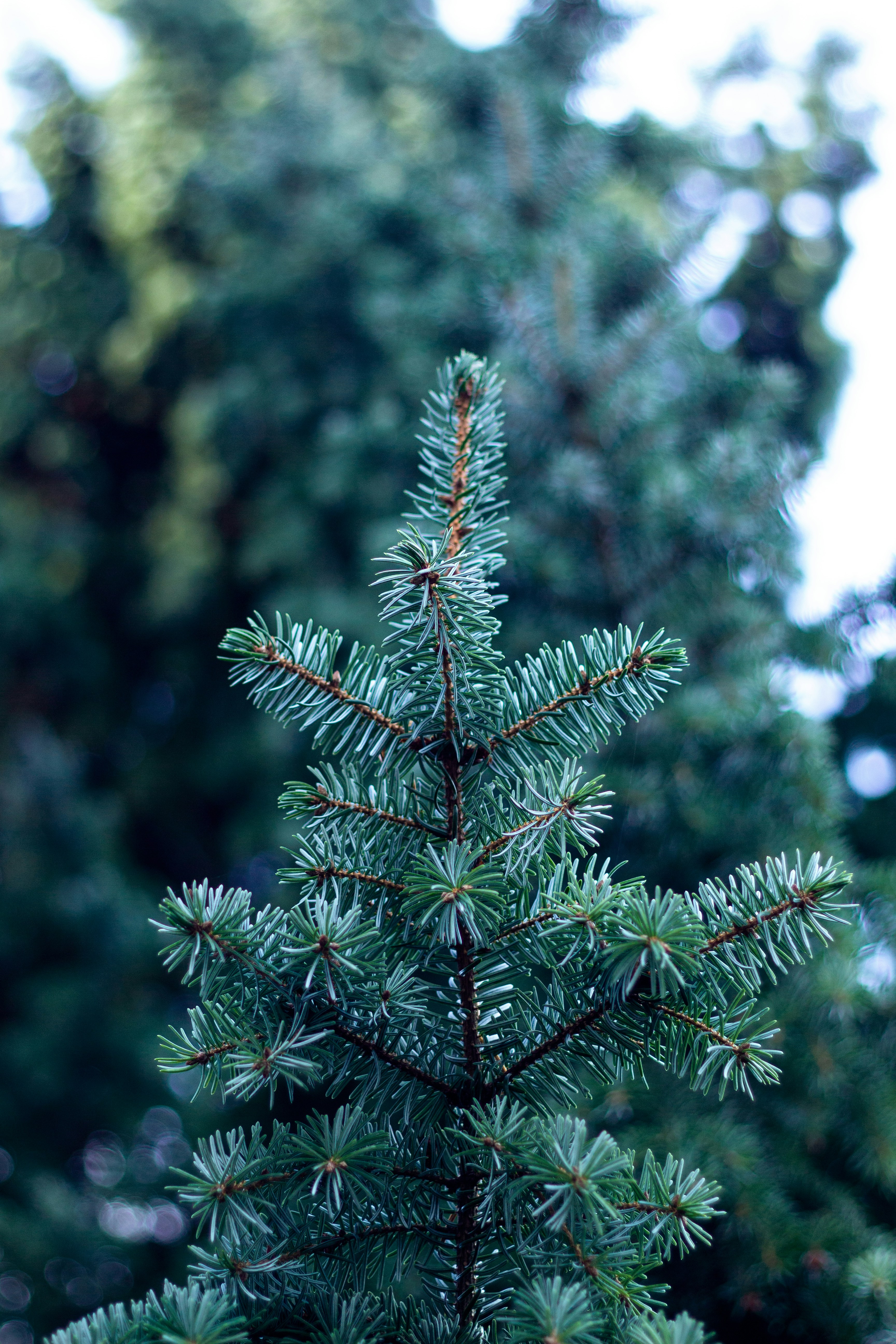 Photo by bildflickan