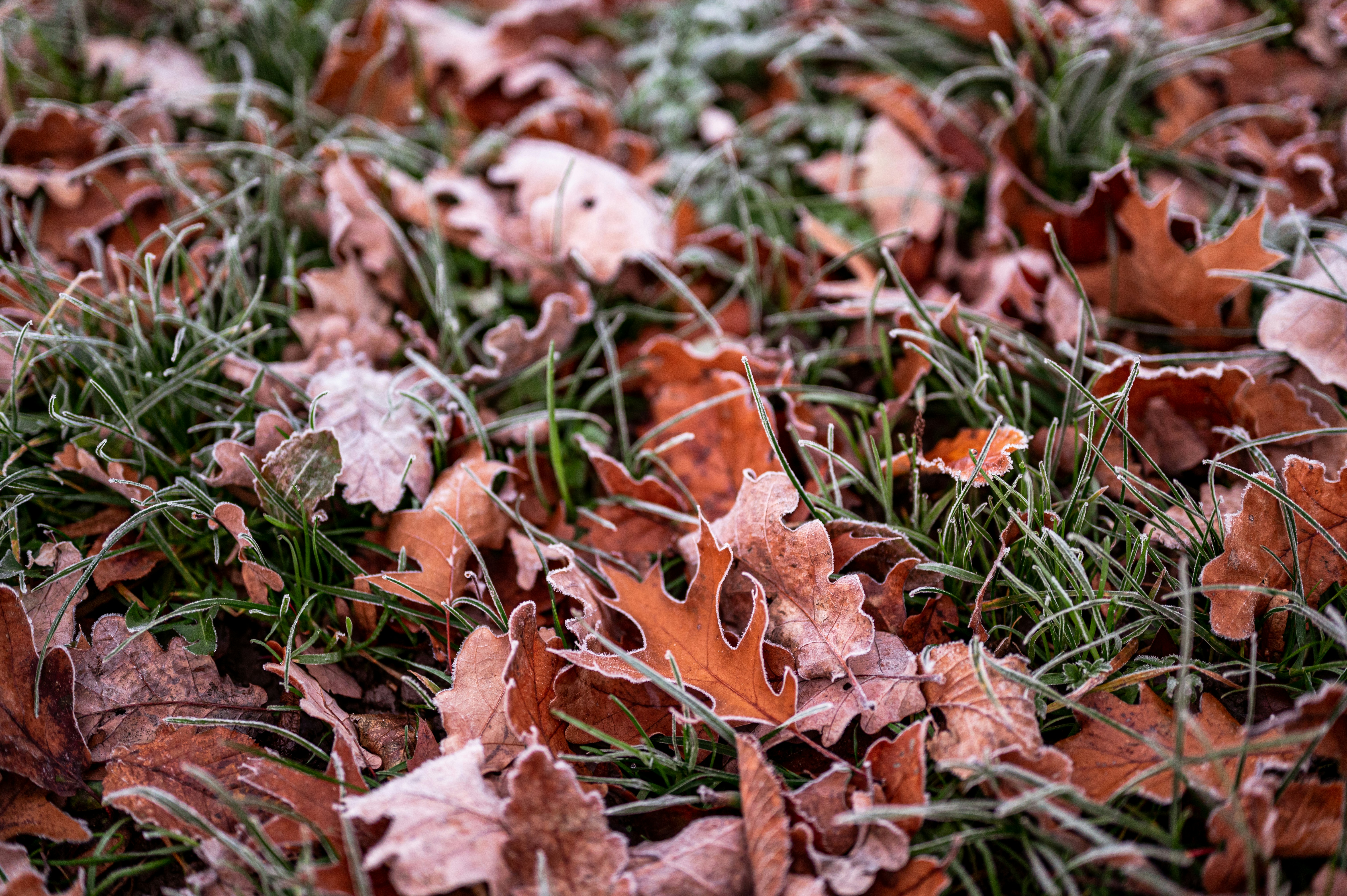 Photo by andreasbrun