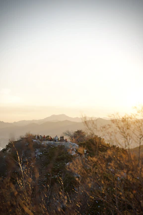 A serene outdoor scene with a group praying together at sunset, bathed in golden light.