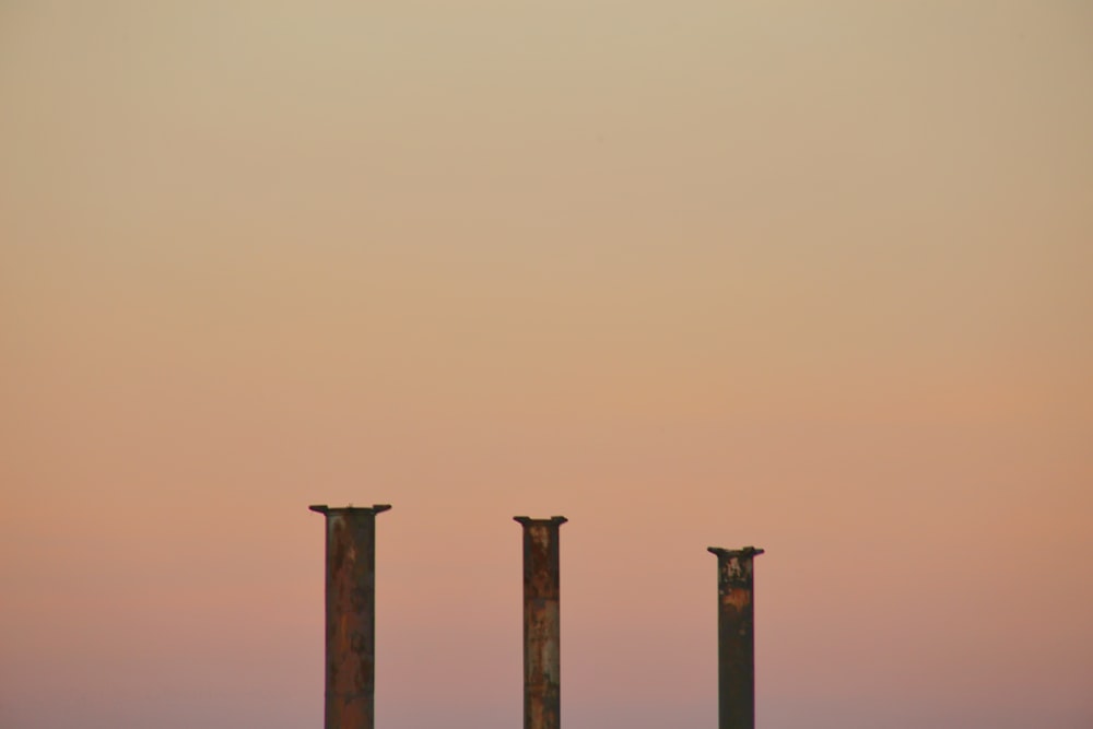 brown wooden post on brown sand