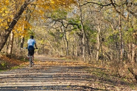 man in blue shirt riding bicycle on road during daytime