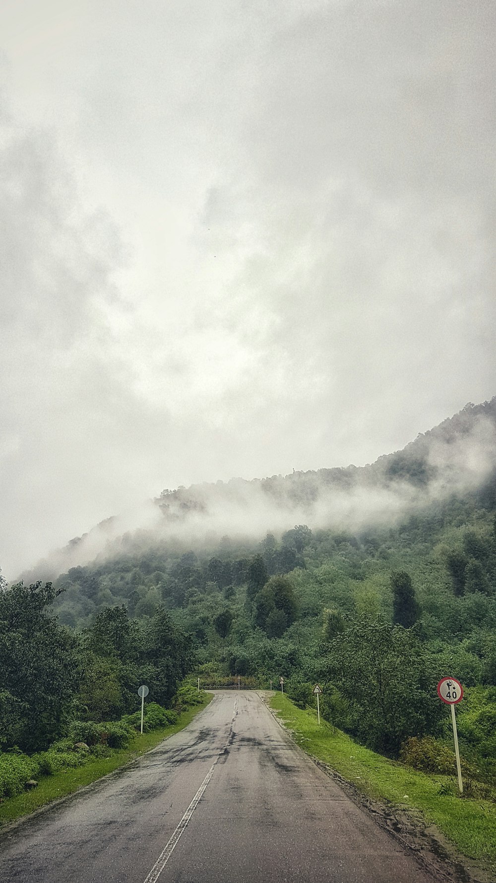 arbres verts sur la montagne sous les nuages blancs pendant la journée