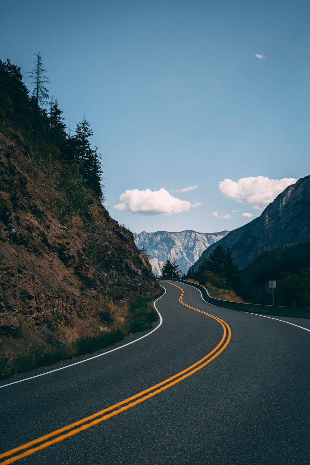 gray concrete road between green trees during daytime