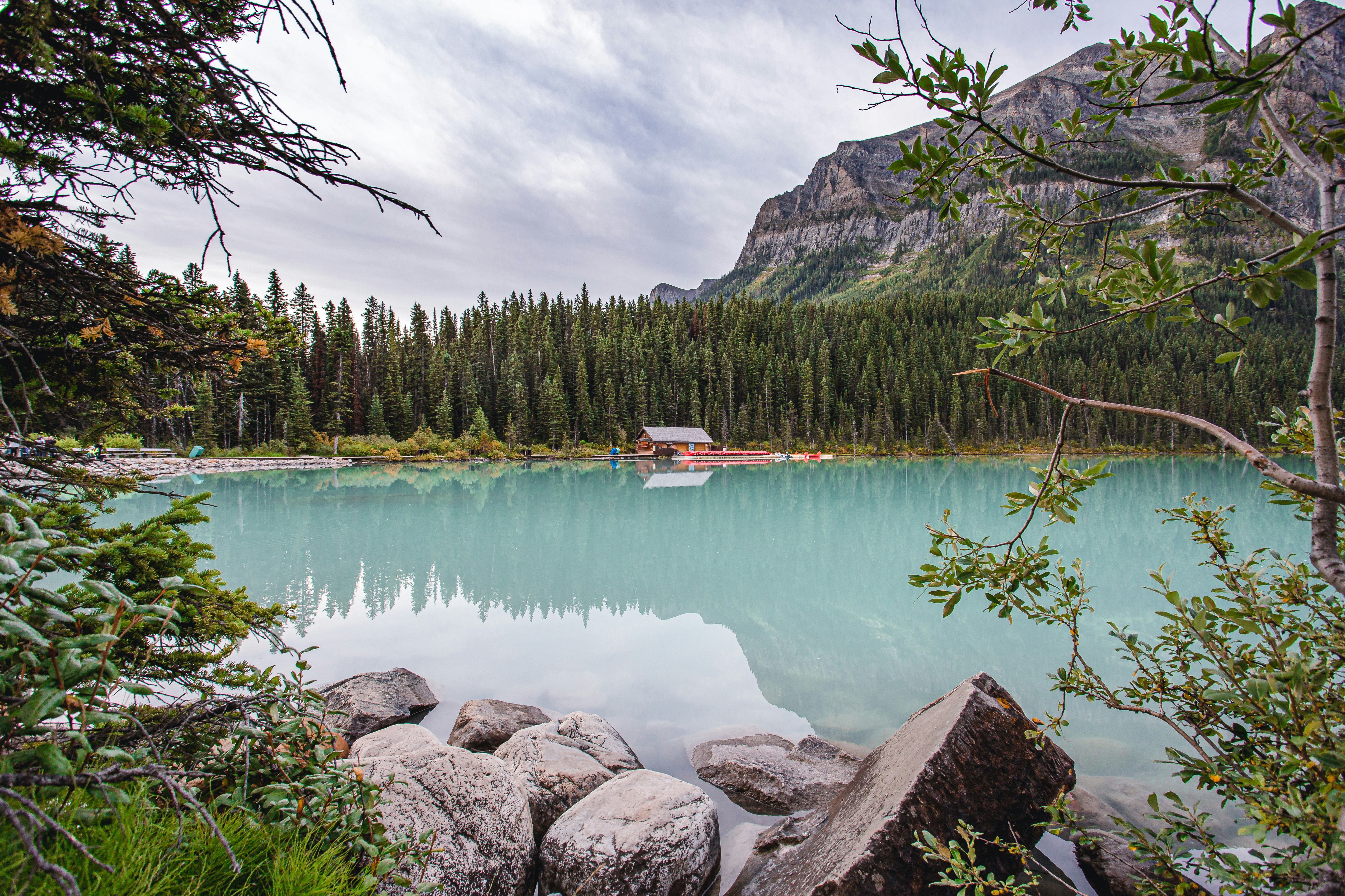 photo-1606059980181-84e21fd1922c?ixlib=rb-1.2.1&ixid=MnwxMjA3fDB8MHxwaG90by1wYWdlfHx8fGVufDB8fHx8&auto=format&fit=crop&w=1000&q=80