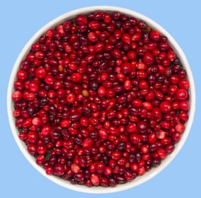 A circular bowl filled with an abundance of small, glossy red berries, likely cranberries. The berries have a vibrant, rich red color with a mix of lighter and darker shades, and the bowl is set against a light blue background, creating a stark contrast.