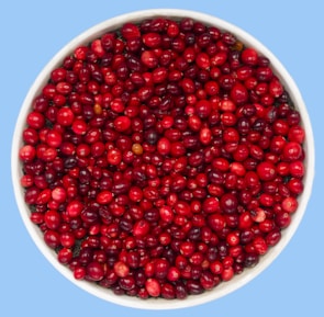 A bowl of ripe cranberries with green leaves.