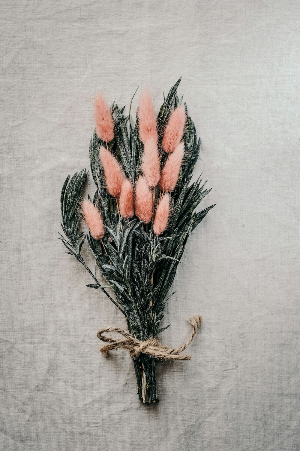 red and green plant on white surface